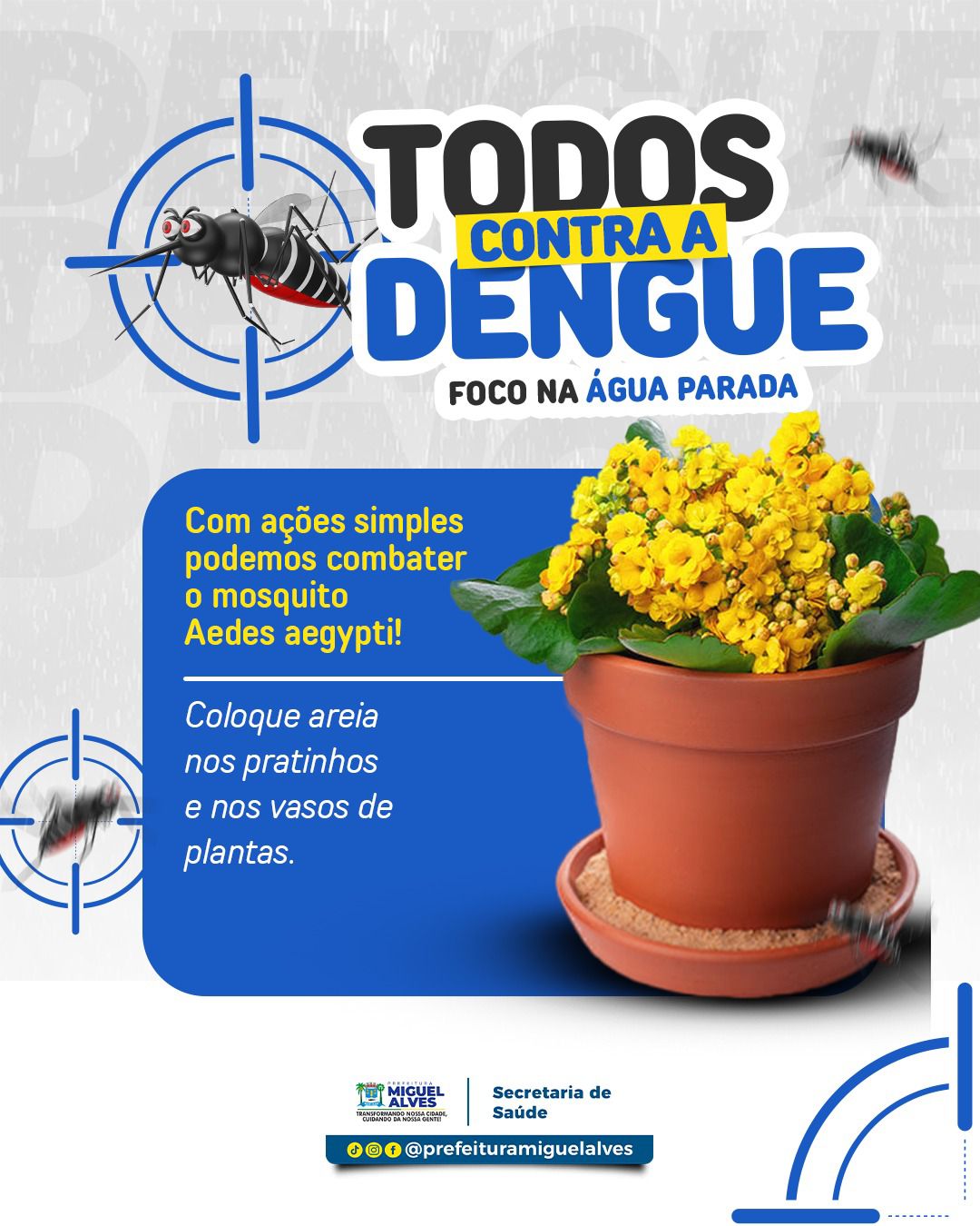 Foto 5 – TODOS CONTRA A DENGUE!