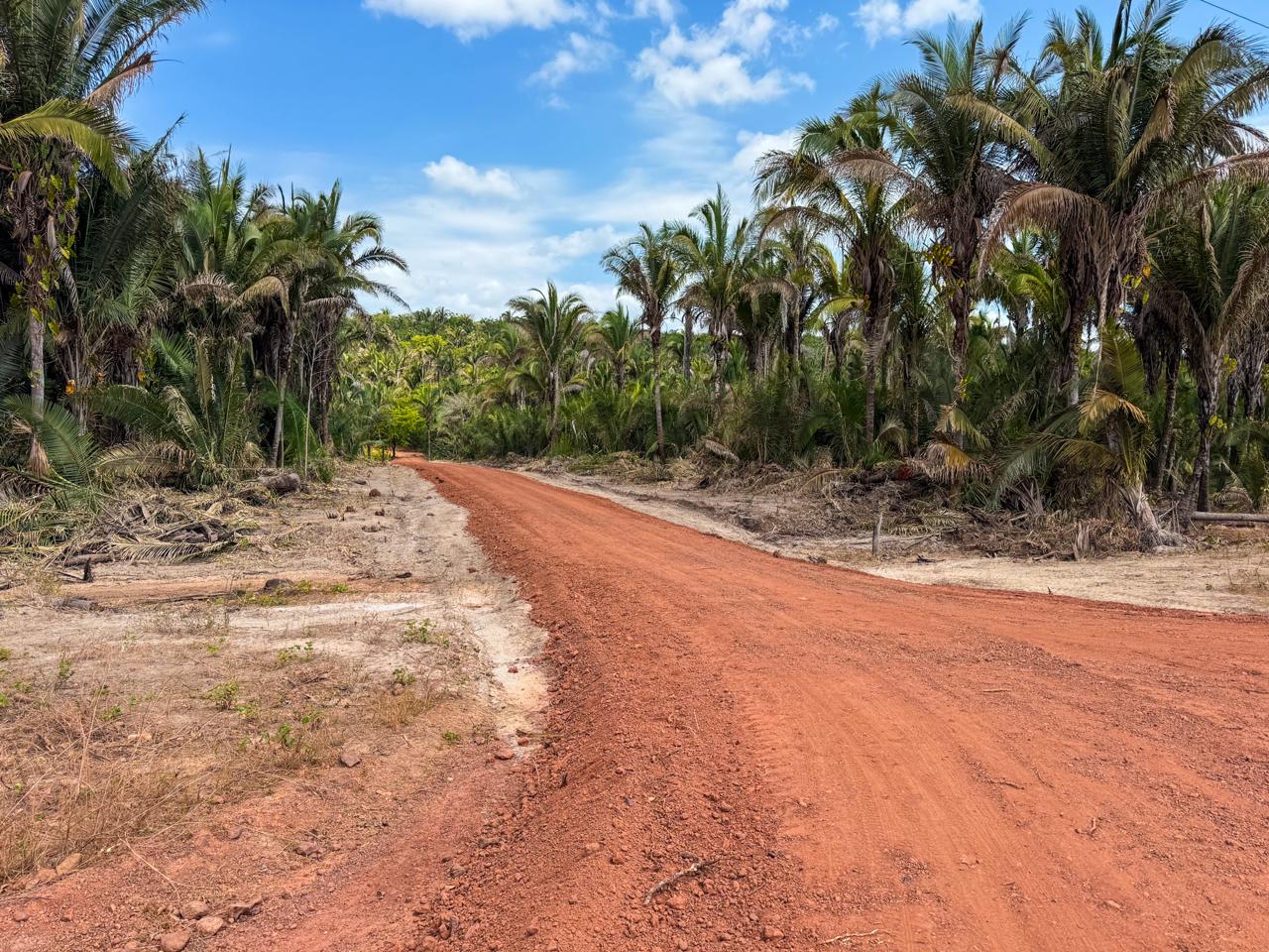 Foto 2 – PREFEITURA DE MIGUEL ALVES ENTREGA ESTRADA QUE LIGA CALÇÃO REDONDO A COITÉ DE DENTRO