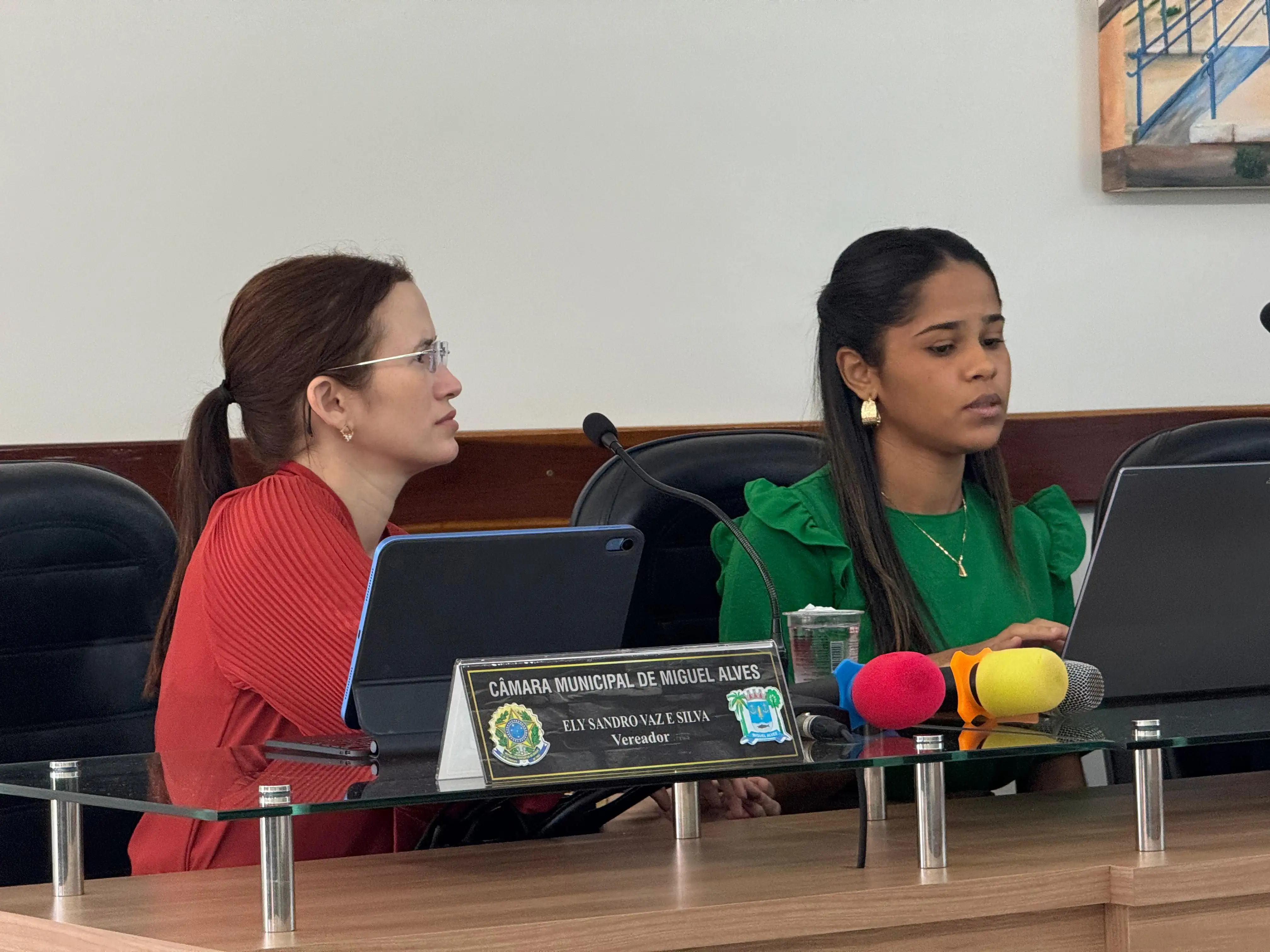 Foto 3 – AUDIÊNCIA PÚBLICA