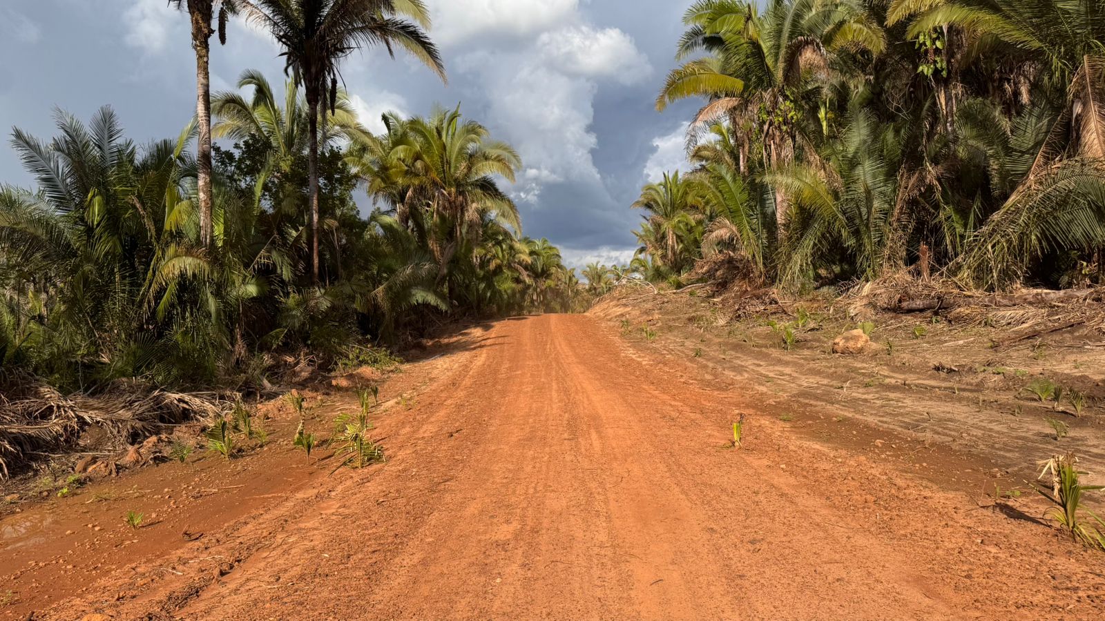 Foto 3 – ESTRADA QUE LIGA JENIPAPEIRO DA MATA AO CENTR DOS GASTÔES É ENTREGUE PEA GESTÃO MUNICIPAL